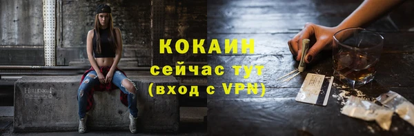 ГАЛЛЮЦИНОГЕННЫЕ ГРИБЫ Кулебаки