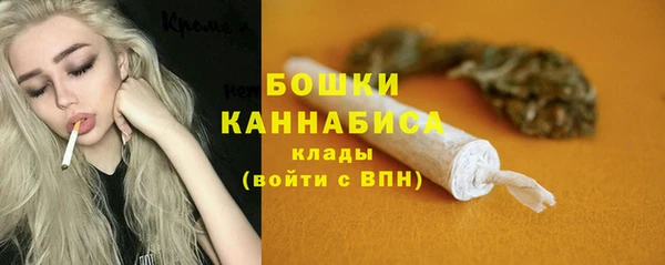 ГАЛЛЮЦИНОГЕННЫЕ ГРИБЫ Кулебаки