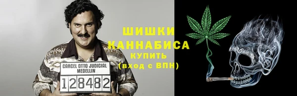 ГАЛЛЮЦИНОГЕННЫЕ ГРИБЫ Кулебаки