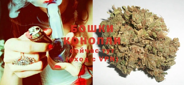 ГАЛЛЮЦИНОГЕННЫЕ ГРИБЫ Кулебаки