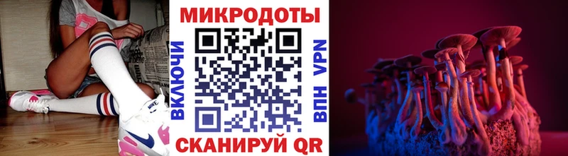 Галлюциногенные грибы MAGIC MUSHROOMS  Рубцовск 