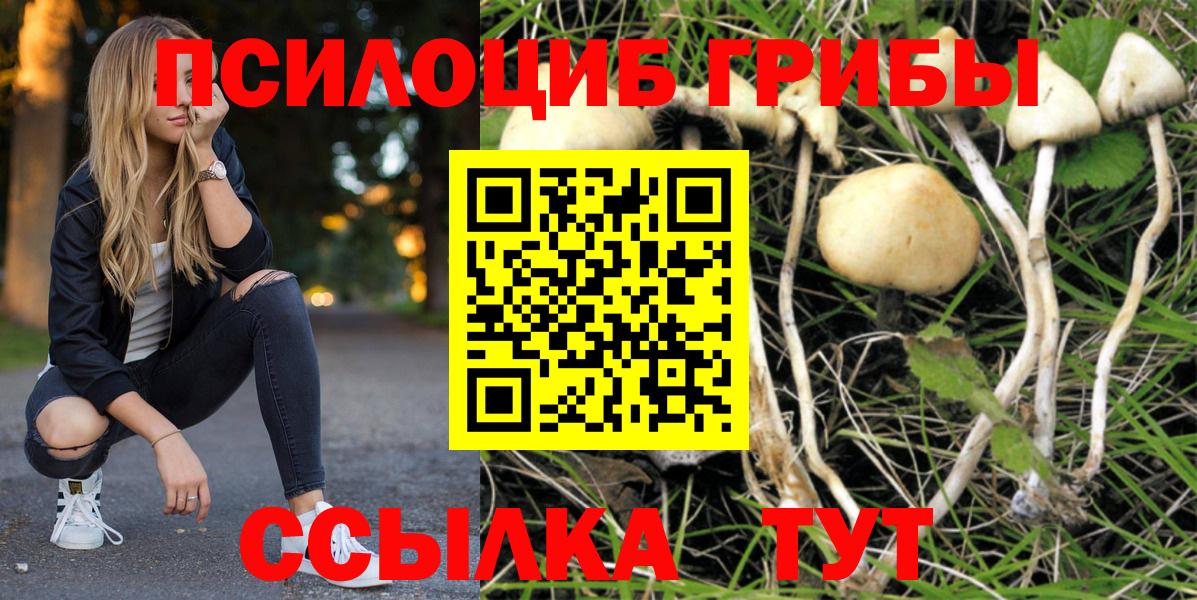 Псилоцибиновые грибы GOLDEN TEACHER Рубцовск